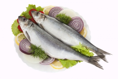 Nobody the lighted tracing box Kortijk, Belgium